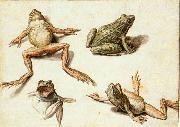 GHEYN, Jacob de II Four Studies of Frogs oil painting reproduction